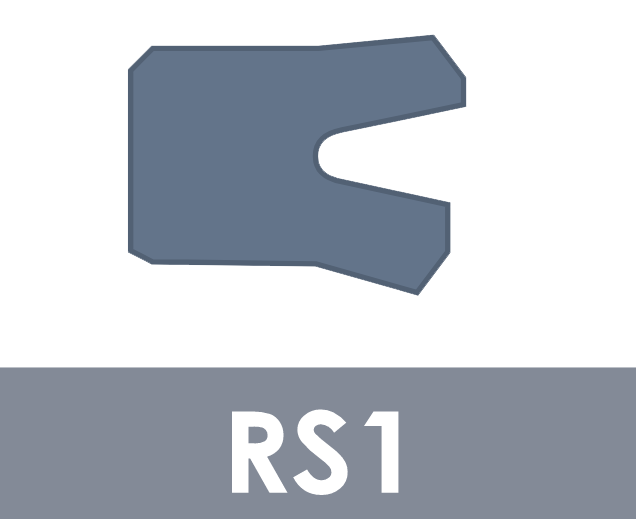 RS1
