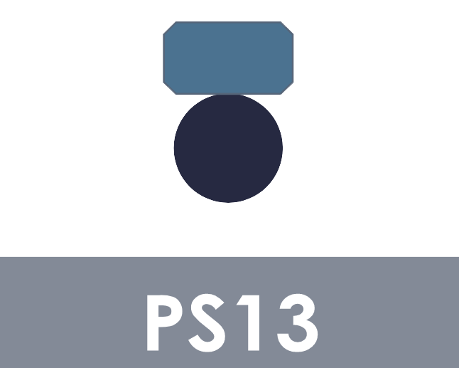 PS13-SELLO PISTON ENSAMBLADO 55X70X8 MM